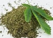 Pemilik 4 Paket Ganja Divonis 4 Tahun Penjara