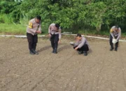 Polres Buru Tanam 3000 Bibit Jagung