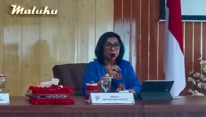 Jumlah Pesawat Berangkat di Maluku Turun 8,24% Pada November 2025