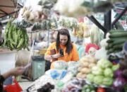 Libatkan BIN Dalam Pegawasan, Gubernur Tidak Tolerir Pelaku Usaha Timbun Bapok