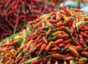 Wagub Maluku Harga Cabai Naik Di Pasar Ambon Bukan Kelangkah, Tetapi Akibat Spekulasi