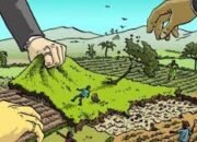 Evans Reynold Alfons Tegaskan Status Sebagai Ahli Waris Pemilik 20 Dusun Dati Negeri Urimessing,