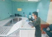 Udang Ronggeng Maluku Terbang Menuju Jakarta