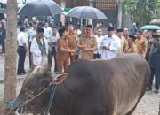 Gubernur Maluku Serahkan 151 Hewan Kurban Dan   Bantuan Presiden