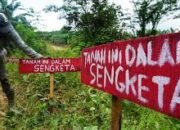 Polemik PT SIM di SBB, Politisi PAN: Bupati Tak Cabut Izin, Minta Tunda Operasi di Lahan Sengketa