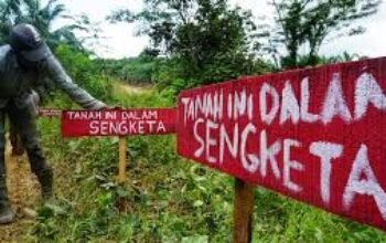 Sengketa 2 Hektare Lahan Pelita Jaya Memanas, Penggugat Tuntut Rp750 Ribu per Meter