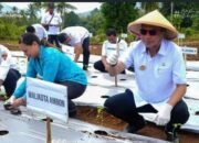 Wali Kota Ambon Bodewin Wattimena, Dorong Pemanfaatan Lahan Demi Ketahanan Pangan