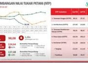 NTP Provinsi Maluku Agustus 2025 Turun 1,29 persen.