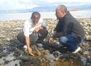 Atasi Tumpahan Oli di Laut Hative Besar, Komisi II DPRD Maluku Turun Tangan