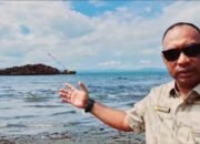 Hutan Teluk Kayeli Terancam: Penebangan Ilegal Mengancam, Pemerintah Diminta  Selamatkan Lingkungan