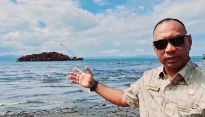 Hutan Teluk Kayeli Terancam: Penebangan Ilegal Mengancam, Pemerintah Diminta  Selamatkan Lingkungan