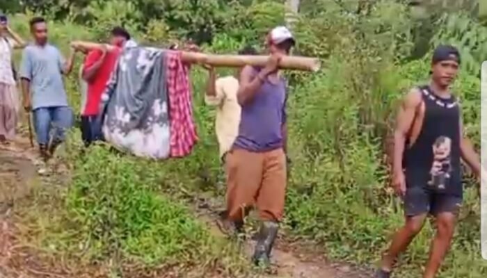 Empat Kilometer Menantang Nyawa: Warga Lohia Tandu Lansia Sakit Demi Mendapat Pertolongan Medis