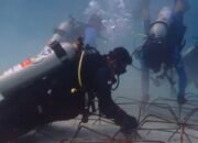 Dari Dasar Laut Jikumerasa, Upaya Menjaga Masa Depan Terumbu Karang