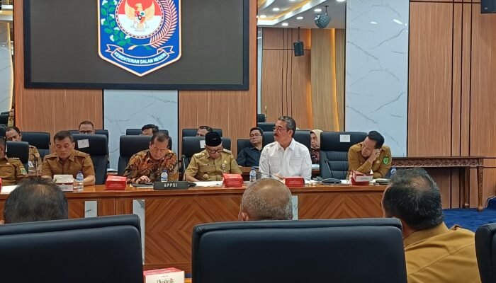 Gubernur Maluku Minta Restu Kemendagri Bentuk Lima BUMD Baru