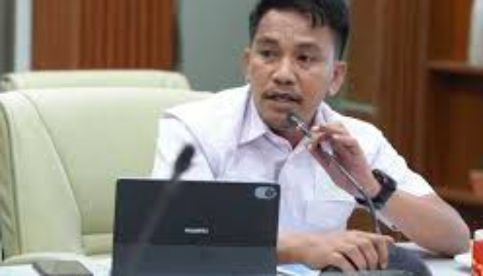 Desak Pengawal Gubernur Dicopot, Wajo : Secara Etika Pemerintahan Tidak Bisa Dipertahankan