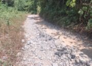Perjuangan Ibu Hamil  Menembus Hutan Demi Melahirkan, Potret Terasingnya Desa Ahiolo