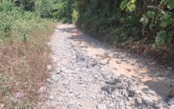 Perjuangan Ibu Hamil Menembus Hutan Demi Melahirkan, Potret Terasingnya Desa Ahiolo