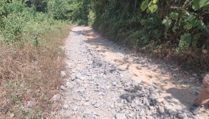 Perjuangan Ibu Hamil  Menembus Hutan Demi Melahirkan, Potret Terasingnya Desa Ahiolo