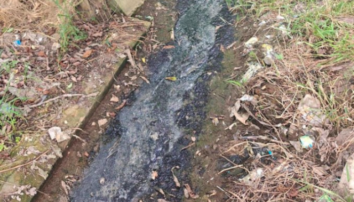 Bau Menyengat Ganggu Warga Gunung Nona, Limbah Dapur MBG Disorot