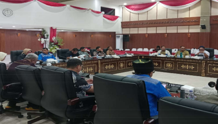 Tower Berdiri, Internet Belum Menyala: DPRD Maluku Desak PLN Tuntaskan Energi untuk Pulau Terpencil